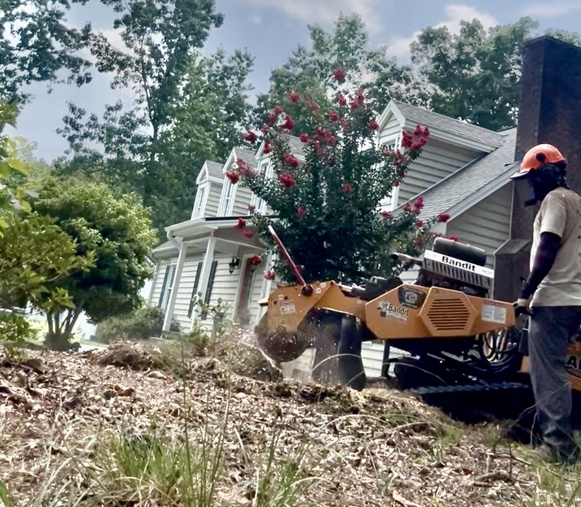 Bandit stump grinder removing a stump at a residential home
